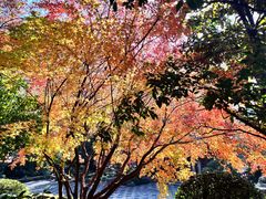 -南京东郊国宾馆