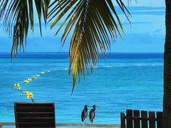 -卡帕莱度假村(西巴丹岛)