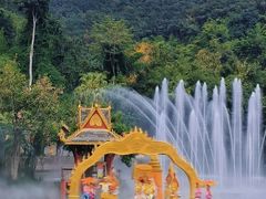 -西双版纳原始森林公园