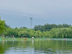 -WhaleSports户外水上运动俱乐部(朝阳公园店)