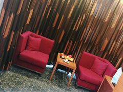 -北京望京华彩智选假日酒店