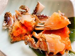 -渔娘渔家丹东海鲜(东直门店)