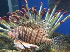 -福州罗源湾海洋世界旅游区