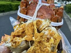 -品鲜村农家菜·阳澄湖大闸蟹(总店)