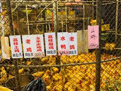 -荔城生鲜盛宴(番禺旗舰店)