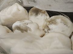 -袁大头包子(光华路店)