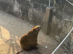 -无锡动物园·太湖欢乐园