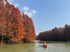 -上海海湾国家森林公园