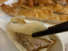 鲜肉锅贴-小姜锅贴(凤凰街店)