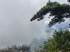 -含鄱口