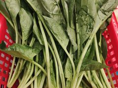 菠菜-小煵记·打边炉(西丽文光店)