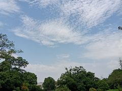 -桃花岛景观公园