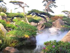 -罗红摄影艺术馆