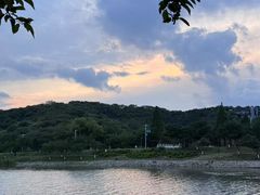 -羊山湖公园