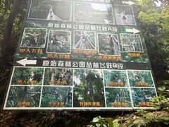 -西双版纳原始森林公园
