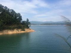 -广州市流溪河国家森林公园