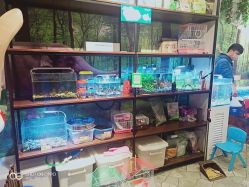-悠游堂儿童乐园(公园茂店)