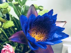 鱼片-河洛鱼庄(古城路店)