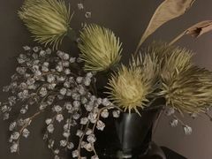 -安屿an·spa(卓悦中心商场店)