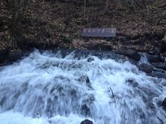 -峡谷浮石林景区