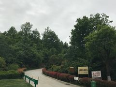 -斯瑞特国际酒店
