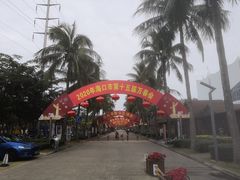 -万绿园