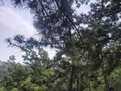 -崂山仰口游览区