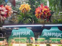 -正佳雨林生态植物园