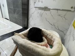 -瑞鹏瑞爱宠物医院·全科·猫科·血液透析中心(龙头寺店)