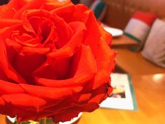 -新贝乐意大利餐厅(苏州中心店)