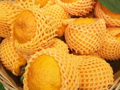 -眉州东坡(远洋未来广场店)