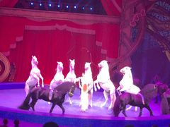 -珠海横琴长隆《卡卡虎奇遇记》