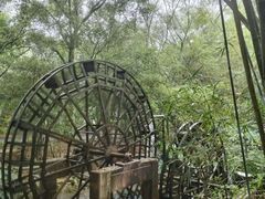 -大屏嶂森林公园