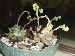 -好人民间小吃(镇江八佰伴店)