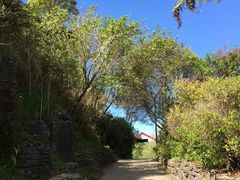 -怀托摩萤火虫洞