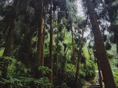 -青城山