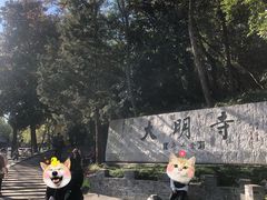 -大明寺素斋