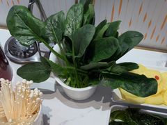 -大熊猫毛肚火锅(烟台万象汇店)