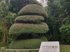 -苏州河梦清园环保主题公园