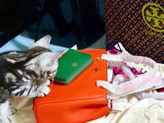 -TORY BURCH(比斯特苏州购物村店)