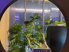 -许家菜.艺创菜(仁和新城店)