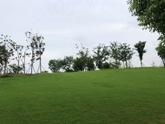 -上海竞达足球俱乐部(宝山校区)