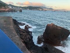 -枸杞岛