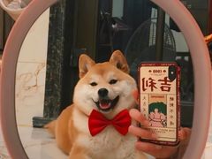 -EnergyCake蛋糕理想国