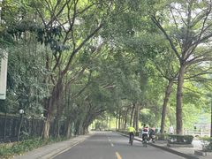 -大屏嶂森林公园