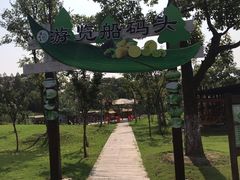 -上海长兴岛郊野公园