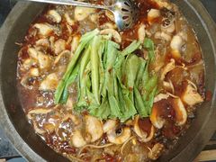 -都江堰石锅鱼