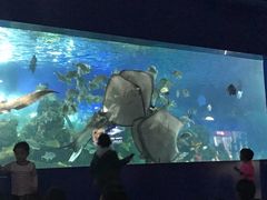 -重庆欢乐海底世界