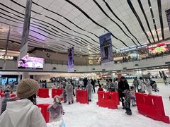 -冰纷万象滑冰场(沈阳万象城店)