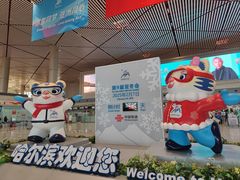 -哈尔滨太平国际机场-T2航站楼